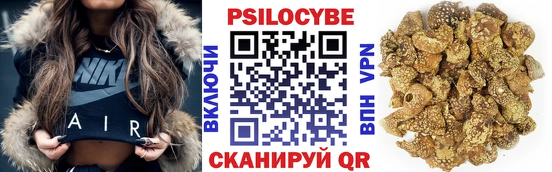 Галлюциногенные грибы ЛСД  закладка  omg сайт  Куровское 